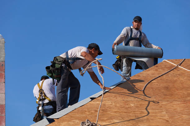 Best Gutter Installation and Roofing  in Reinholds, PA
